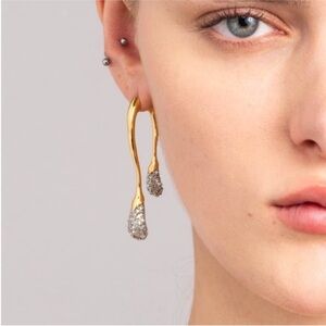 ALEXIS BITTAR • Solanales Crystal Back Front Double Drop Gold Earrings Jacket